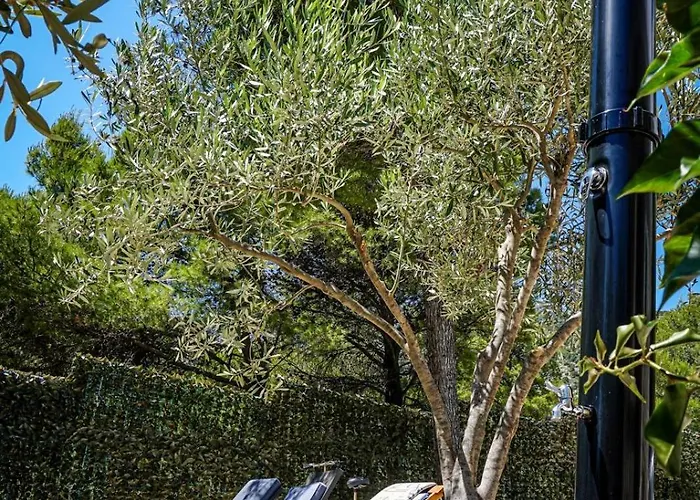 Grammy Tatil Evi